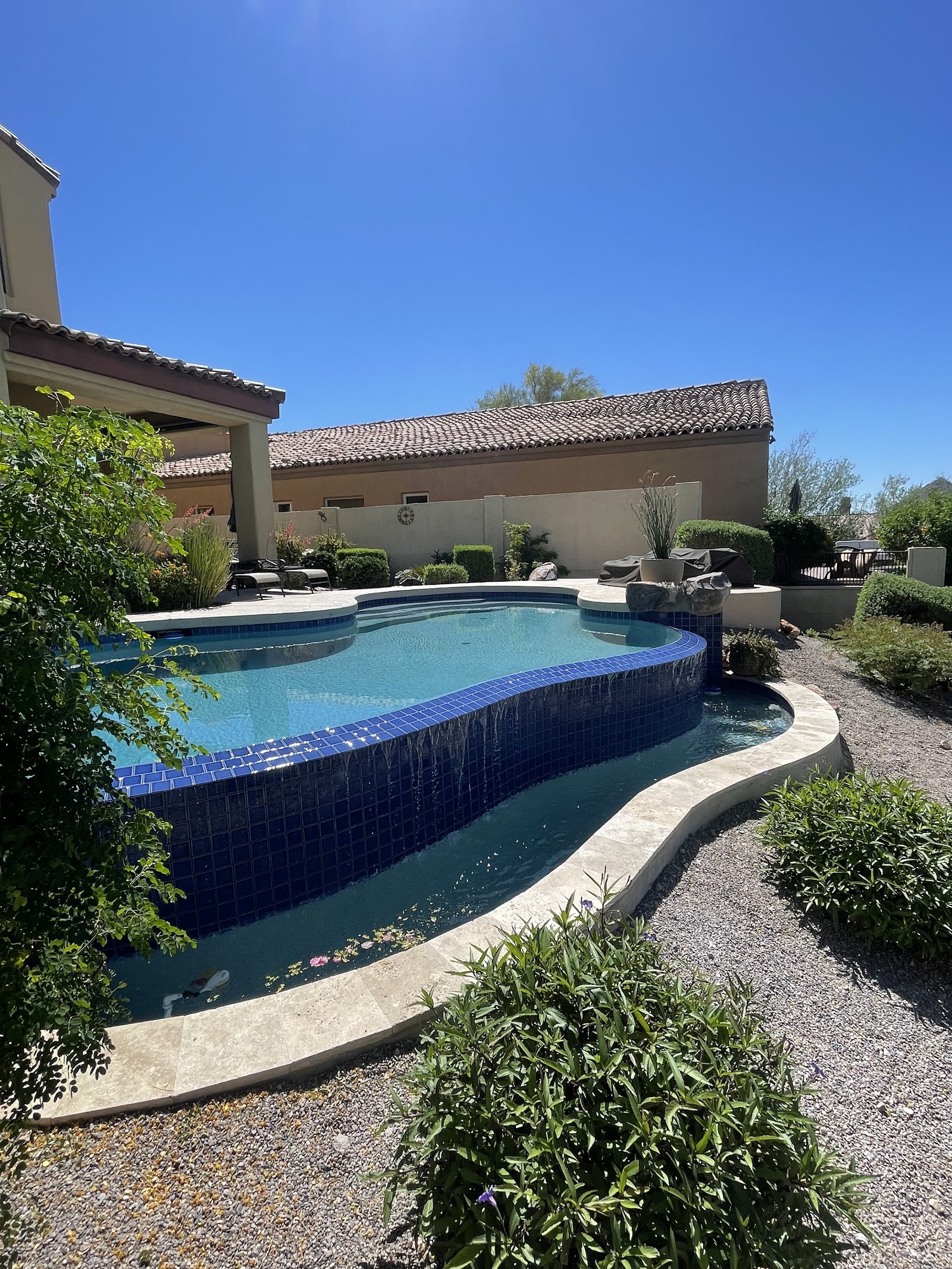 Custom Saltwater Pool Construction, Fountain Hills